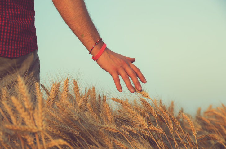 Стандартен кредит за оборотни средства за земеделски производители - „Инвест Динамика – Земеделие”